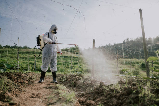 Best Pest Control for Homes  in Sebree, KY