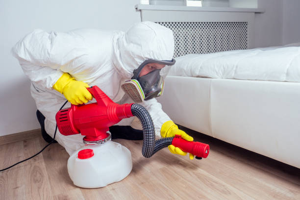 Best Local Pest Control Services  in Sebree, KY