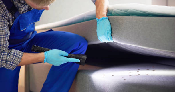 Pest Control for Restaurants in Sebree, KY