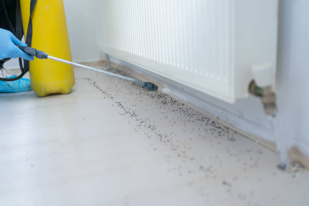 Professional Pest Control in Sebree, KY