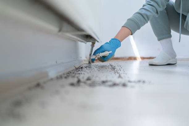 Pest Control Cost in Sebree, KY