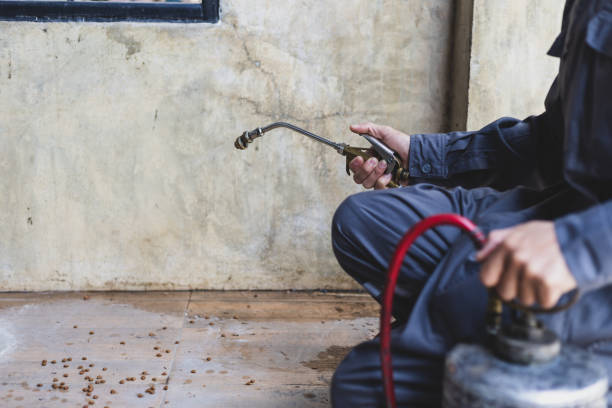 Best Affordable Pest Control Services  in Sebree, KY